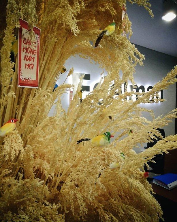 Edelman Vietnam photo 15